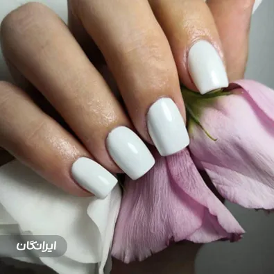 سالن زیبایی شانا یزدانی