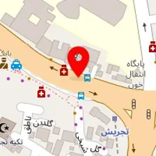 سالن آرایش دائم رها