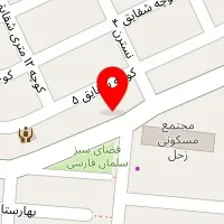 قالیشویی همشهری