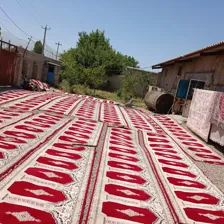 قالیشویی ماه شور