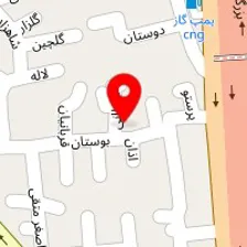 قالیشویی آنا