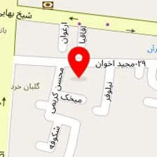 قالیشویی ارم