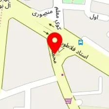 قالیشویی نگین