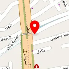 قالیشویی ۱۱۰