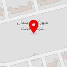 دکتر محمدرضا شیریان