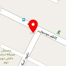 خدمات ناخن و شینیون