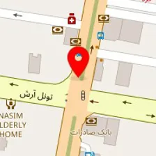 سالن میکروپیگمینشن وی آی پی