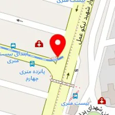 دکتر میرمحی الدین موسوی