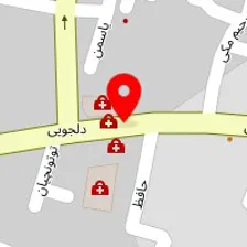 دکتر مهسا نجفی