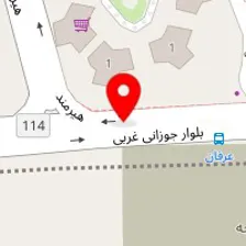 قالیشویی ناصری