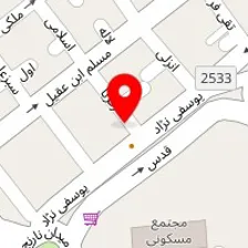 قالیشویی آویژه