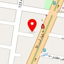 قالیشویی نگین