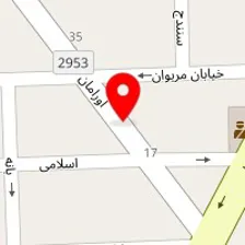 قالیشویی جوان