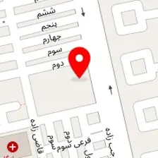 قالیشویی بشیری