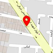 قالیشویی امیر