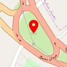 قالیشویی پاکان