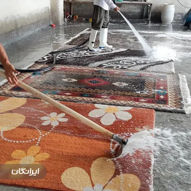 قالیشویی و مبل شویی بنفشه 