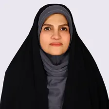 وکیل مریم موسوی