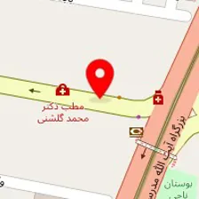 دکتر محمدرضا زندی