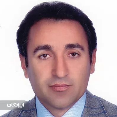 وکیل حمید محمدی