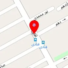 دکتر شادی رهنما