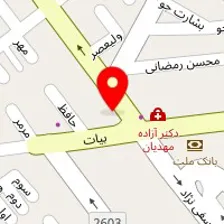 دکتر مهدی پشنگ