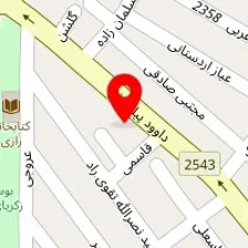 دکتر سعید خمسه ای