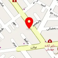 دکتر محمد رضا فاعلی