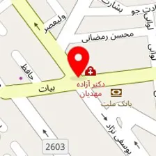 دکتر محمدتقی محمدی