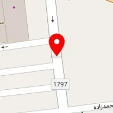دکتر علی شعبان پور