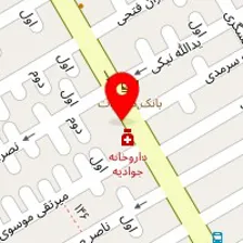 دکتر عاطفه حکمتی