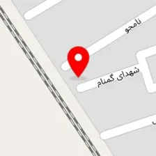 دکتر حمید حسینی نقوی