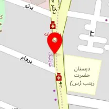 دکتر صدیقه امجدی