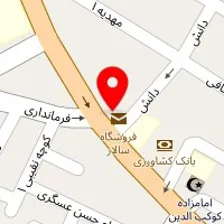 دکتر امیررضا نائلی