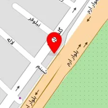 دکتر فاطمه پور انصاری 