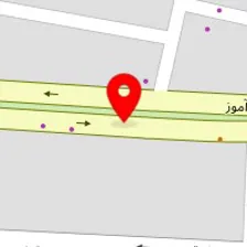 دکتر مینا فربد