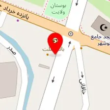 دکتر زیبا نورعلی