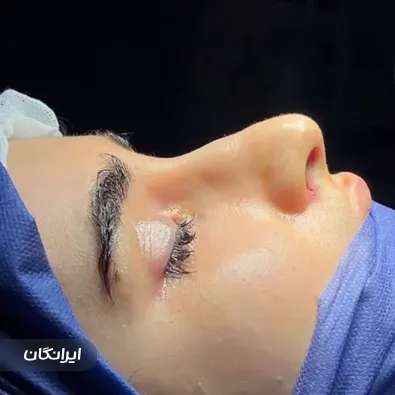 دکتر سیف اله همت