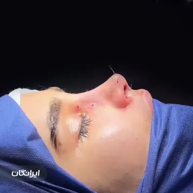 دکتر سیف اله همت