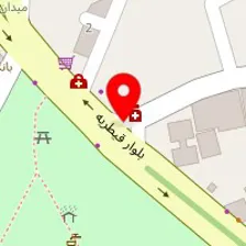 دکتر محمدعباس عبدالصمدی