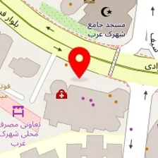 دکتر فائزه عطری