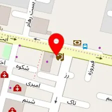 دکتر صدیقه عظیمی