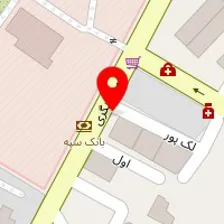 دکتر مهدی هاشمی