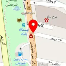 دکتر فریبا نبوی طباطبایی