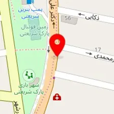 دکتر مسرور خوشنویسان