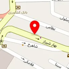 دکتر نیلوفر شماشیان