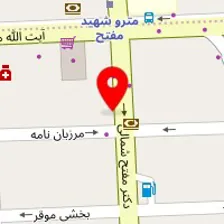 دکتر رضا سلمان ماهینی