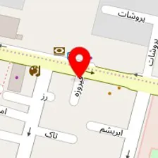 دکتر حمیده وزوائی