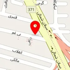 دکتر نازنین ناطقیان