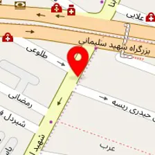 دکتر جمال میرابریشمی